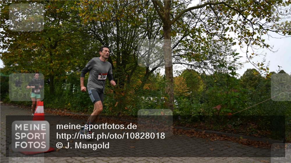 11.10.2026 - Bramfelder Halbmarathon 2026 J. Mangold http://msf.ph/oto/10828018 11.10.2026 10:46:27 Laufen 84, 155, 230 meine-sportfotos.de