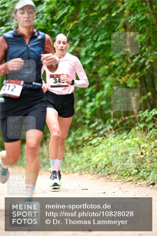 11.10.2026 - Bramfelder Halbmarathon 2026 Dr. Thomas Lammeyer http://msf.ph/oto/10828028 11.10.2026 11:04:51 Laufen 212, 34 meine-sportfotos.de
