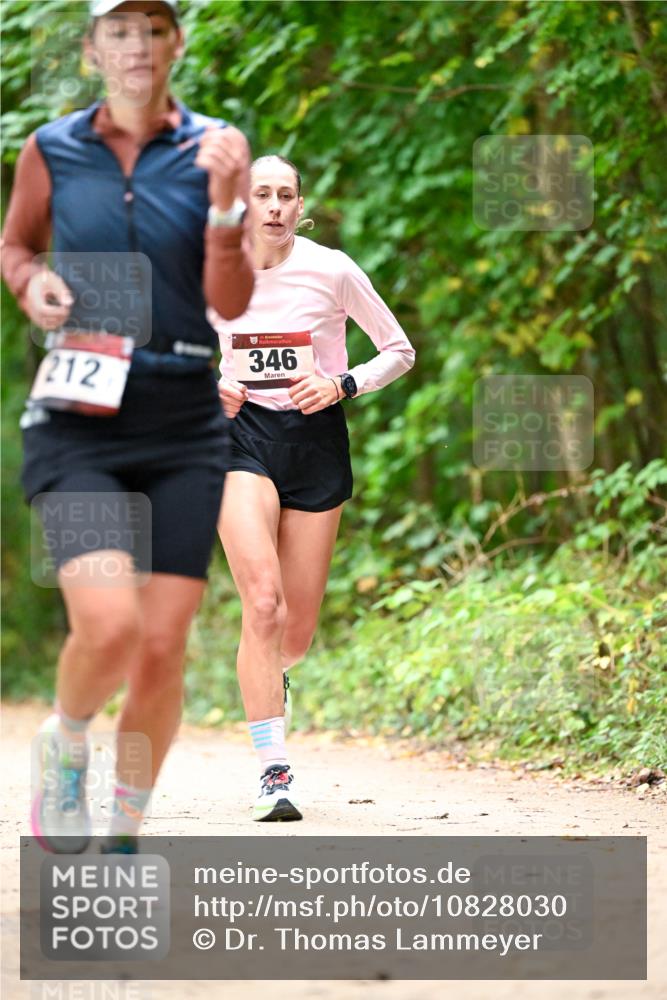 11.10.2026 - Bramfelder Halbmarathon 2026 Dr. Thomas Lammeyer http://msf.ph/oto/10828030 11.10.2026 11:04:51 Laufen 212, 346 meine-sportfotos.de