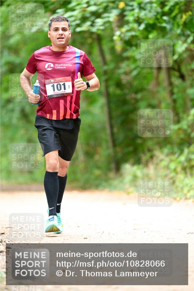 11.10.2026 - Bramfelder Halbmarathon 2026 Dr. Thomas Lammeyer http://msf.ph/oto/10828066 11.10.2026 11:05:14 Laufen 101, 29 meine-sportfotos.de