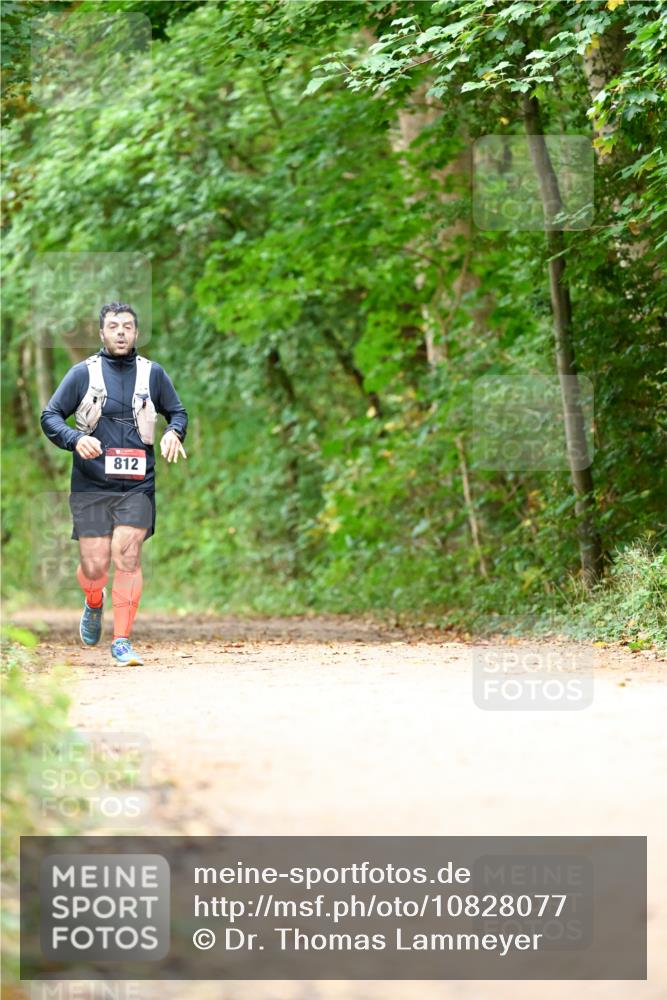 11.10.2026 - Bramfelder Halbmarathon 2026 Dr. Thomas Lammeyer http://msf.ph/oto/10828077 11.10.2026 11:05:19 Laufen 812 meine-sportfotos.de