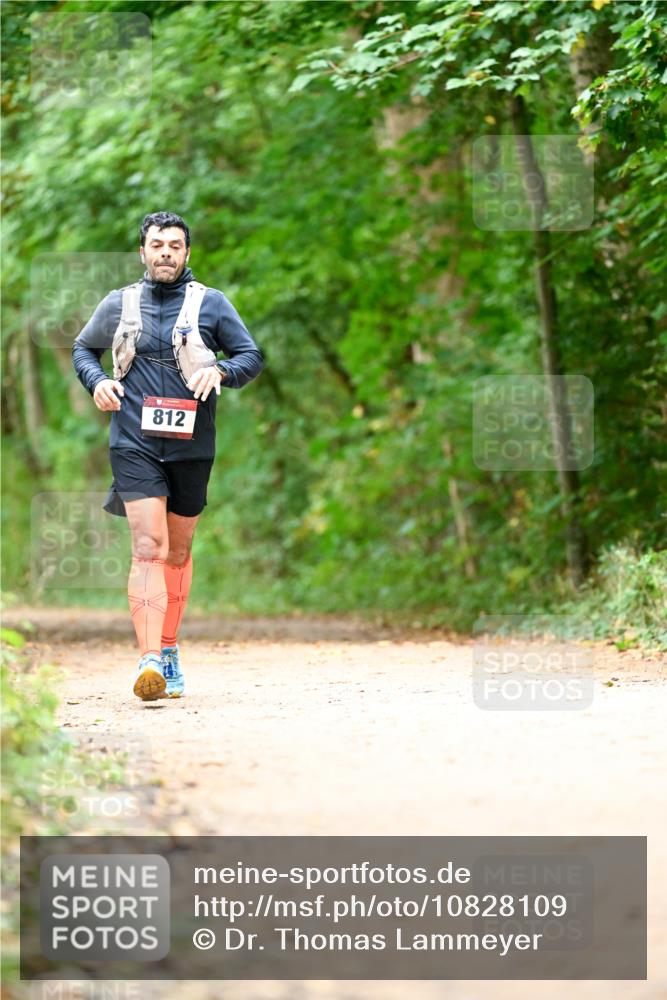 11.10.2026 - Bramfelder Halbmarathon 2026 Dr. Thomas Lammeyer http://msf.ph/oto/10828109 11.10.2026 11:05:21 Laufen 812 meine-sportfotos.de