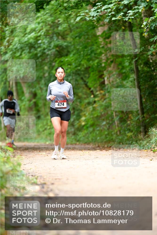 11.10.2026 - Bramfelder Halbmarathon 2026 Dr. Thomas Lammeyer http://msf.ph/oto/10828179 11.10.2026 11:06:07 Laufen 474 meine-sportfotos.de
