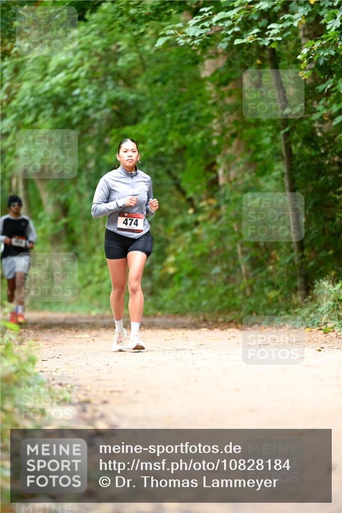 11.10.2026 - Bramfelder Halbmarathon 2026 Dr. Thomas Lammeyer http://msf.ph/oto/10828184 11.10.2026 11:06:07 Laufen 474 meine-sportfotos.de