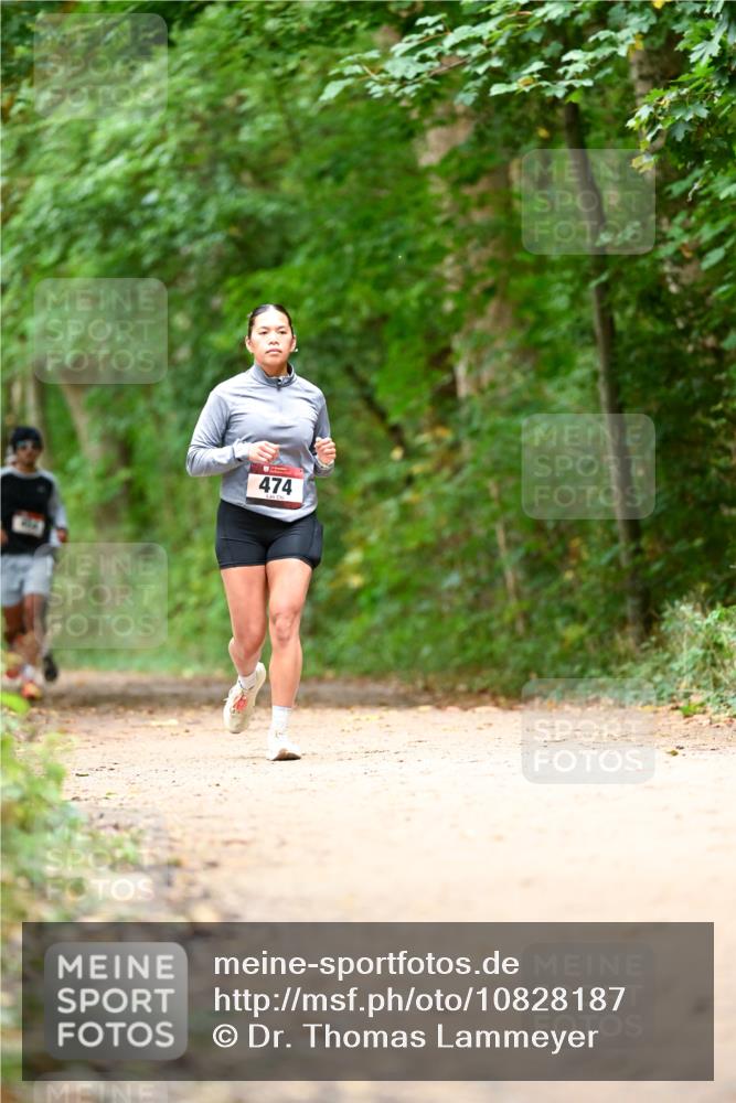 11.10.2026 - Bramfelder Halbmarathon 2026 Dr. Thomas Lammeyer http://msf.ph/oto/10828187 11.10.2026 11:06:07 Laufen 474 meine-sportfotos.de