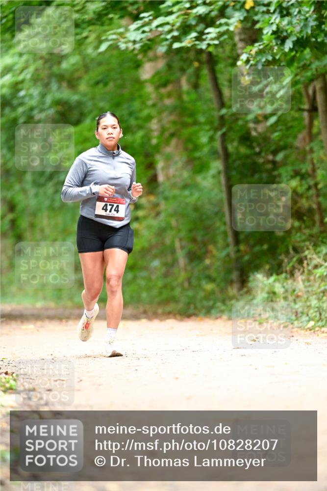 11.10.2026 - Bramfelder Halbmarathon 2026 Dr. Thomas Lammeyer http://msf.ph/oto/10828207 11.10.2026 11:06:09 Laufen 474 meine-sportfotos.de