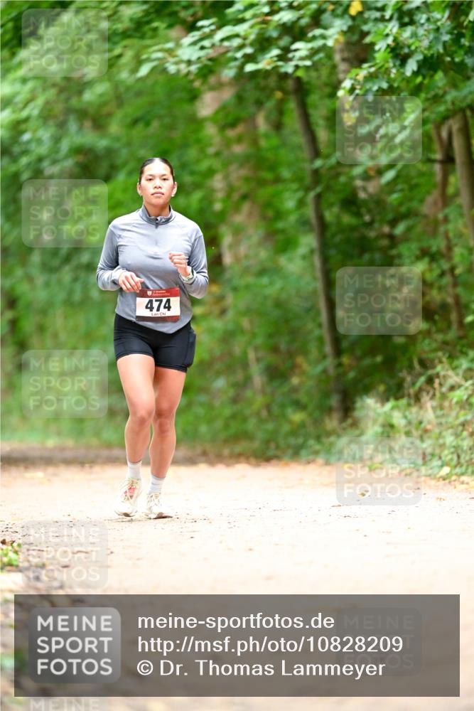 11.10.2026 - Bramfelder Halbmarathon 2026 Dr. Thomas Lammeyer http://msf.ph/oto/10828209 11.10.2026 11:06:09 Laufen 474 meine-sportfotos.de