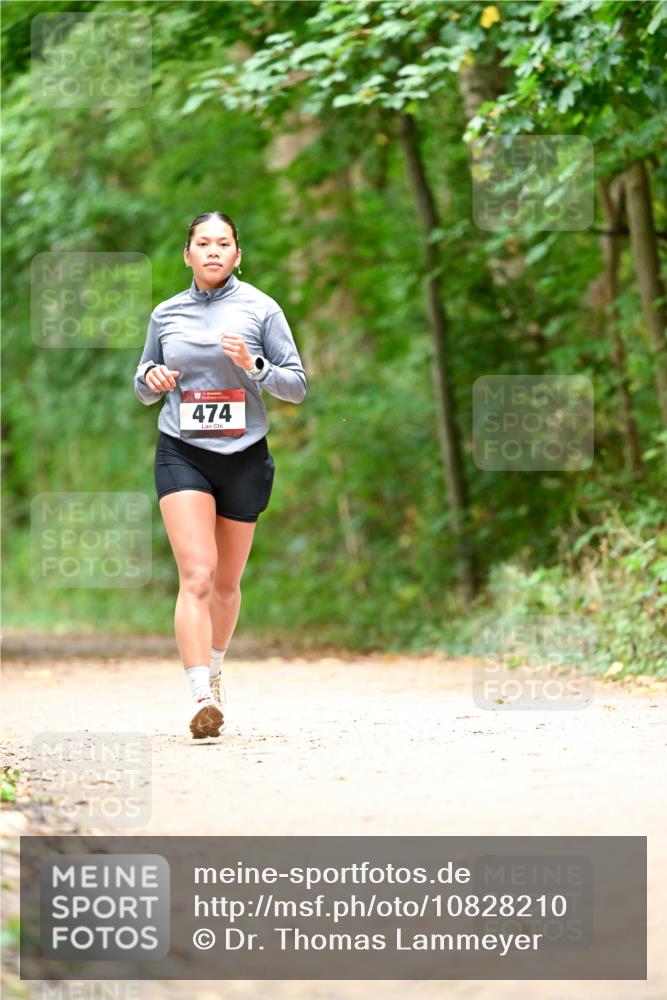 11.10.2026 - Bramfelder Halbmarathon 2026 Dr. Thomas Lammeyer http://msf.ph/oto/10828210 11.10.2026 11:06:09 Laufen 474 meine-sportfotos.de