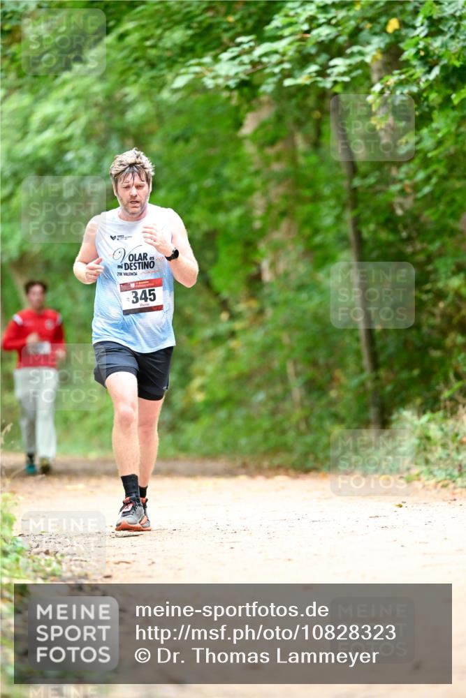 11.10.2026 - Bramfelder Halbmarathon 2026 Dr. Thomas Lammeyer http://msf.ph/oto/10828323 11.10.2026 11:06:33 Laufen 21, 345 meine-sportfotos.de