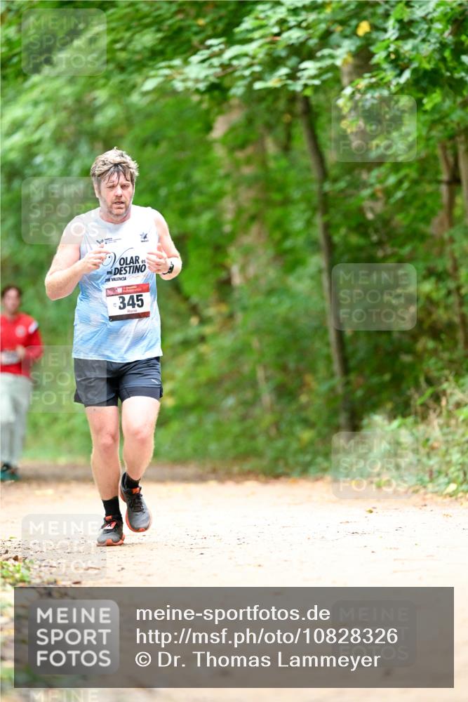 11.10.2026 - Bramfelder Halbmarathon 2026 Dr. Thomas Lammeyer http://msf.ph/oto/10828326 11.10.2026 11:06:33 Laufen 345 meine-sportfotos.de