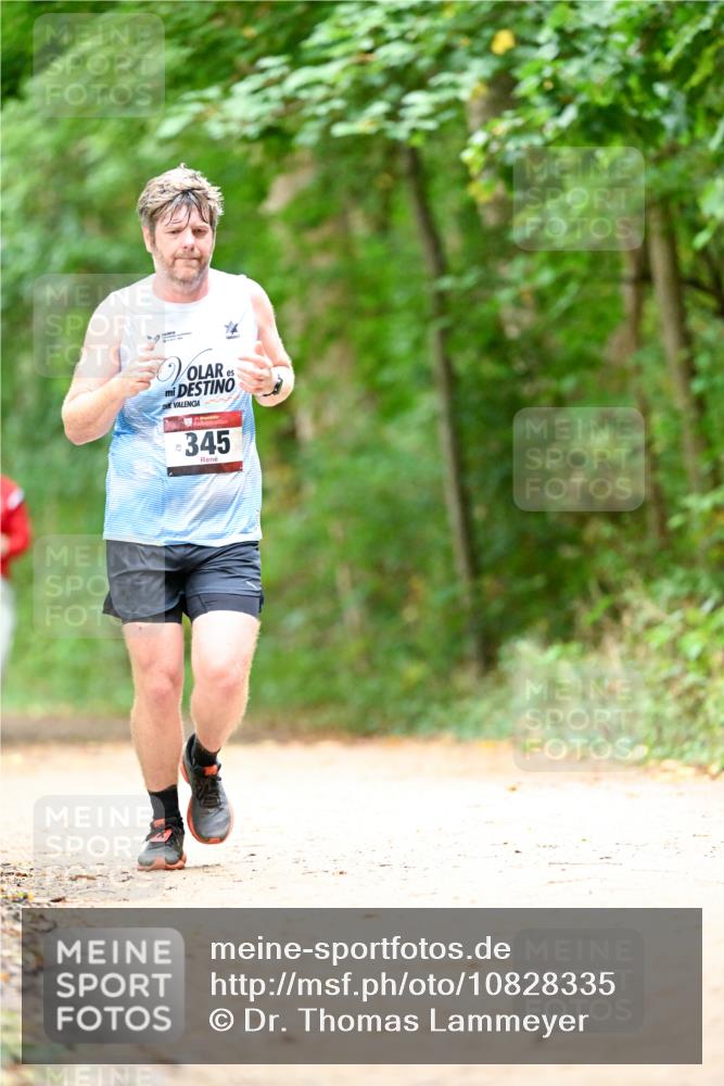11.10.2026 - Bramfelder Halbmarathon 2026 Dr. Thomas Lammeyer http://msf.ph/oto/10828335 11.10.2026 11:06:34 Laufen 67, 345 meine-sportfotos.de