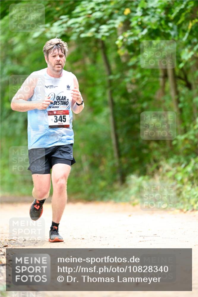11.10.2026 - Bramfelder Halbmarathon 2026 Dr. Thomas Lammeyer http://msf.ph/oto/10828340 11.10.2026 11:06:34 Laufen 21, 345 meine-sportfotos.de