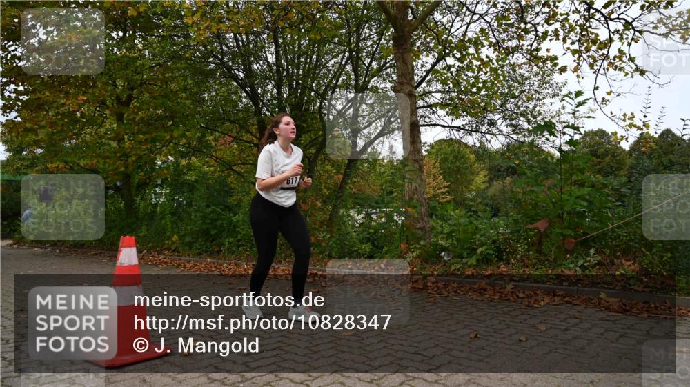 11.10.2026 - Bramfelder Halbmarathon 2026 J. Mangold http://msf.ph/oto/10828347 11.10.2026 10:52:25 Laufen 372, 617 meine-sportfotos.de