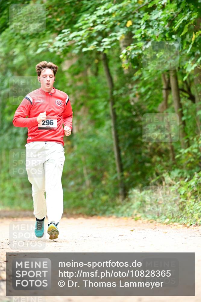 11.10.2026 - Bramfelder Halbmarathon 2026 Dr. Thomas Lammeyer http://msf.ph/oto/10828365 11.10.2026 11:06:40 Laufen 296 meine-sportfotos.de