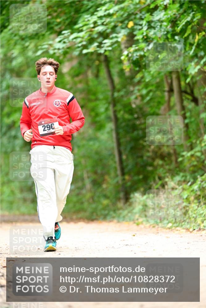 11.10.2026 - Bramfelder Halbmarathon 2026 Dr. Thomas Lammeyer http://msf.ph/oto/10828372 11.10.2026 11:06:40 Laufen 29 meine-sportfotos.de