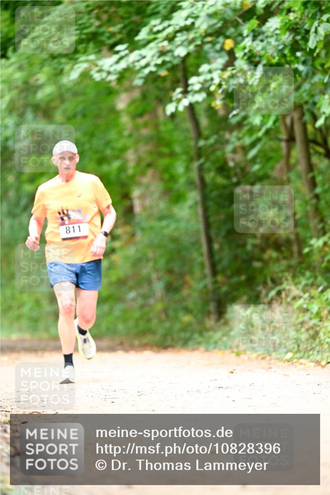 11.10.2026 - Bramfelder Halbmarathon 2026 Dr. Thomas Lammeyer http://msf.ph/oto/10828396 11.10.2026 11:06:57 Laufen 811 meine-sportfotos.de