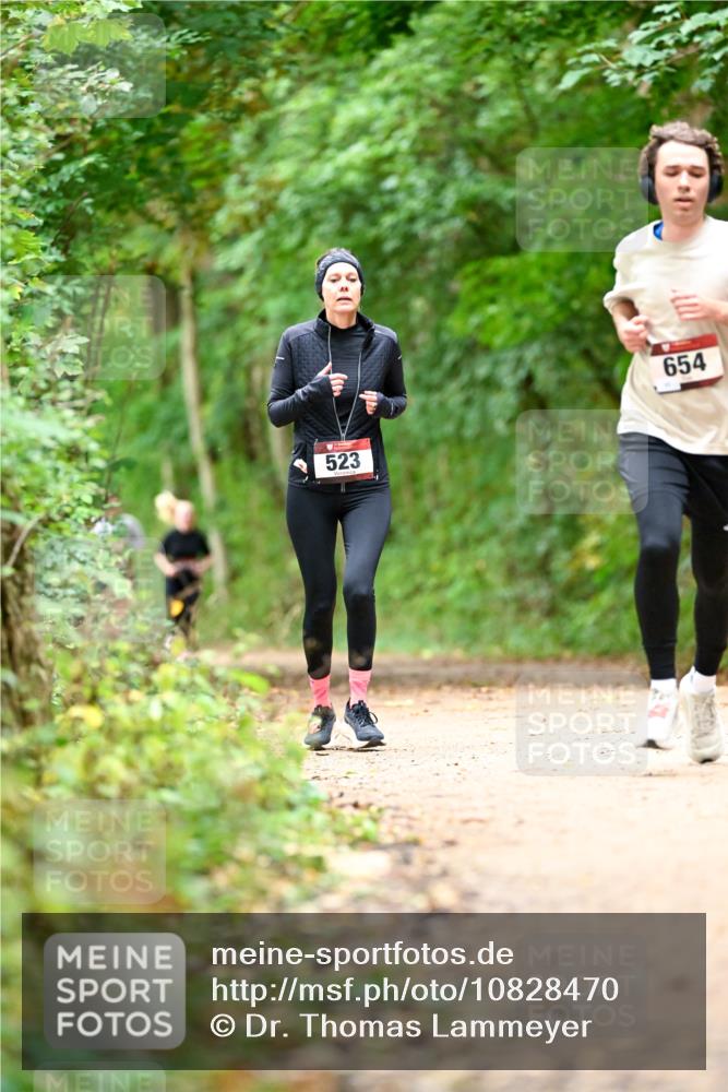 11.10.2026 - Bramfelder Halbmarathon 2026 Dr. Thomas Lammeyer http://msf.ph/oto/10828470 11.10.2026 11:07:13 Laufen 654, 523 meine-sportfotos.de