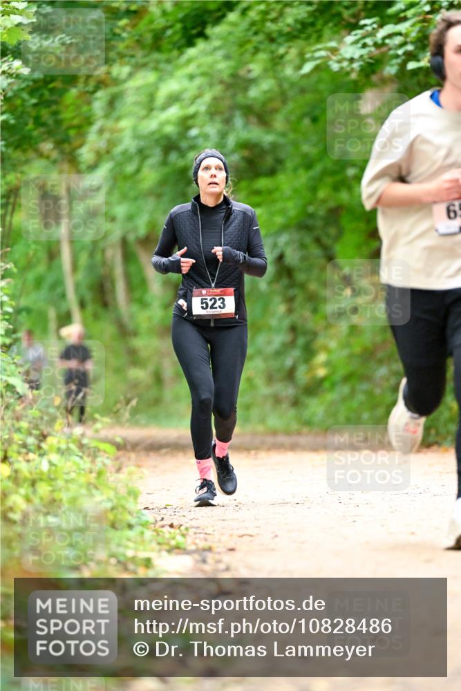 11.10.2026 - Bramfelder Halbmarathon 2026 Dr. Thomas Lammeyer http://msf.ph/oto/10828486 11.10.2026 11:07:14 Laufen 523, 6 meine-sportfotos.de