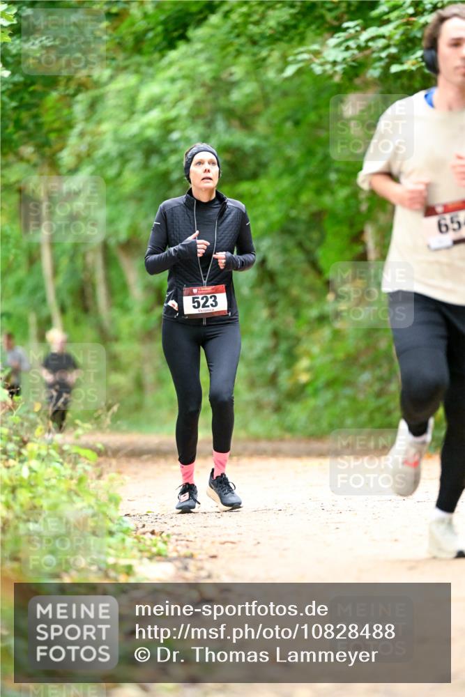 11.10.2026 - Bramfelder Halbmarathon 2026 Dr. Thomas Lammeyer http://msf.ph/oto/10828488 11.10.2026 11:07:14 Laufen 523, 65 meine-sportfotos.de