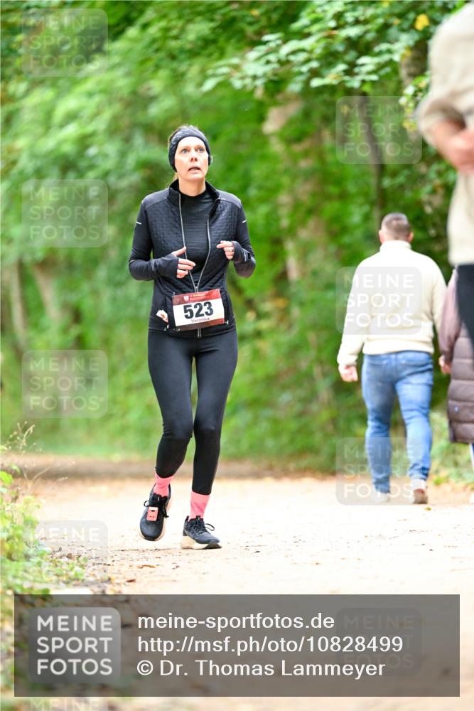 11.10.2026 - Bramfelder Halbmarathon 2026 Dr. Thomas Lammeyer http://msf.ph/oto/10828499 11.10.2026 11:07:15 Laufen 523 meine-sportfotos.de
