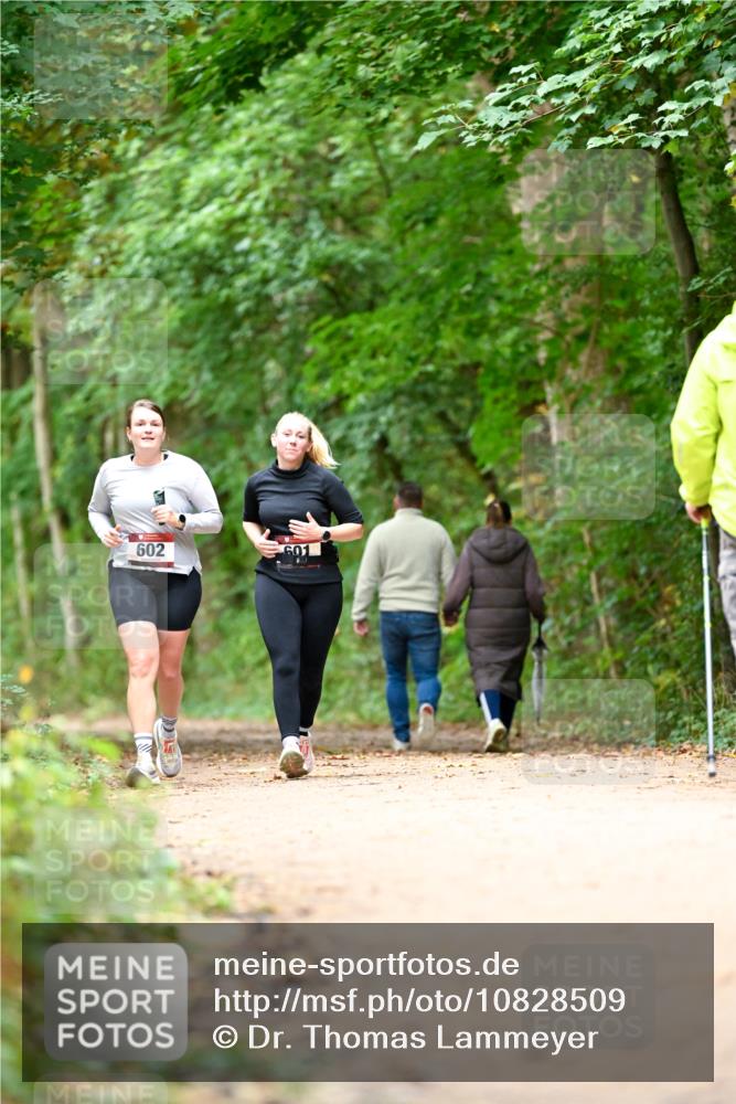 11.10.2026 - Bramfelder Halbmarathon 2026 Dr. Thomas Lammeyer http://msf.ph/oto/10828509 11.10.2026 11:07:26 Laufen 602, 601 meine-sportfotos.de