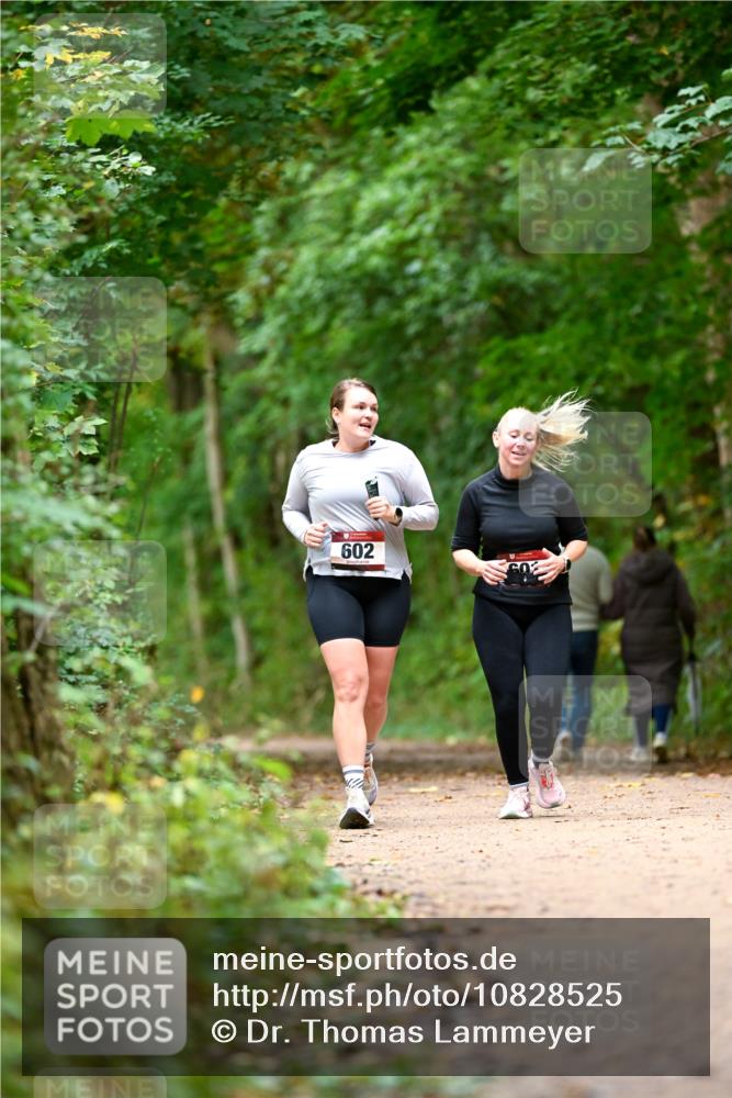 11.10.2026 - Bramfelder Halbmarathon 2026 Dr. Thomas Lammeyer http://msf.ph/oto/10828525 11.10.2026 11:07:27 Laufen 602 meine-sportfotos.de
