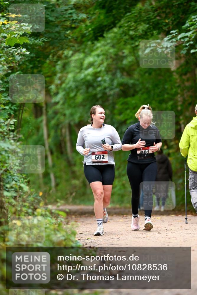 11.10.2026 - Bramfelder Halbmarathon 2026 Dr. Thomas Lammeyer http://msf.ph/oto/10828536 11.10.2026 11:07:28 Laufen 602 meine-sportfotos.de