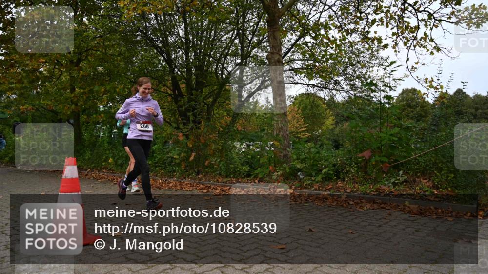 11.10.2026 - Bramfelder Halbmarathon 2026 J. Mangold http://msf.ph/oto/10828539 11.10.2026 10:55:37 Laufen 266, 309 meine-sportfotos.de