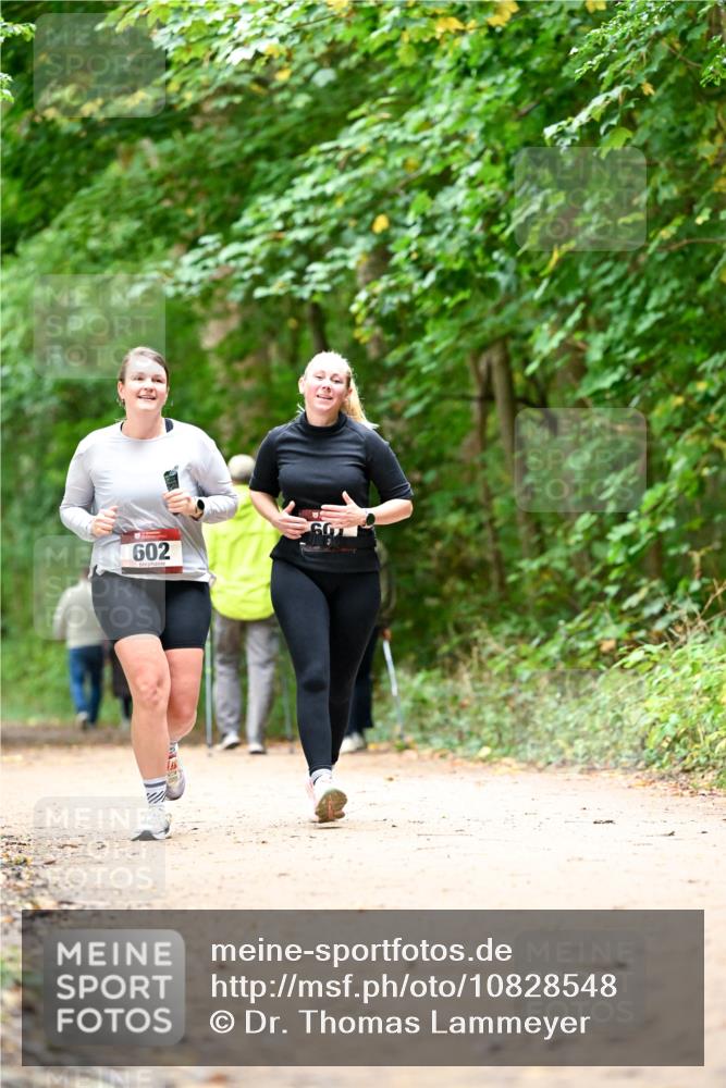 11.10.2026 - Bramfelder Halbmarathon 2026 Dr. Thomas Lammeyer http://msf.ph/oto/10828548 11.10.2026 11:07:30 Laufen 602 meine-sportfotos.de