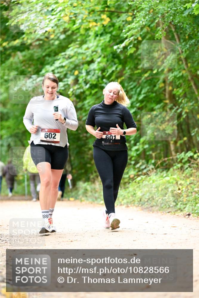 11.10.2026 - Bramfelder Halbmarathon 2026 Dr. Thomas Lammeyer http://msf.ph/oto/10828566 11.10.2026 11:07:31 Laufen 602, 601 meine-sportfotos.de