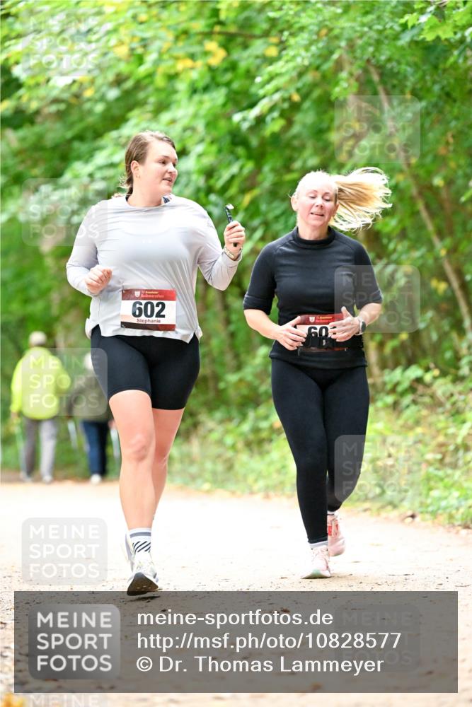 11.10.2026 - Bramfelder Halbmarathon 2026 Dr. Thomas Lammeyer http://msf.ph/oto/10828577 11.10.2026 11:07:32 Laufen 35, 602, 60 meine-sportfotos.de