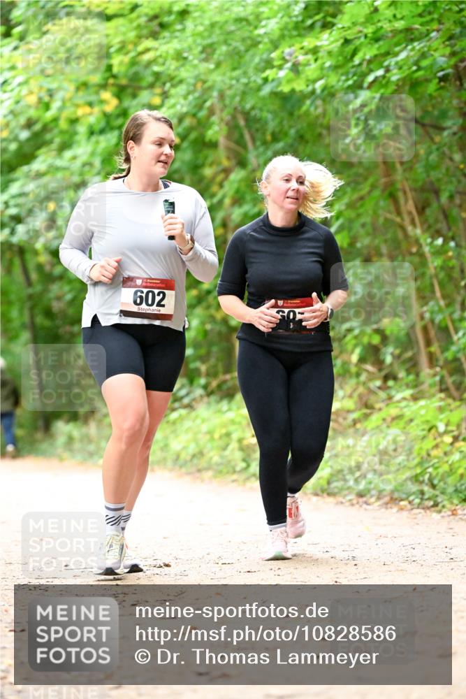 11.10.2026 - Bramfelder Halbmarathon 2026 Dr. Thomas Lammeyer http://msf.ph/oto/10828586 11.10.2026 11:07:33 Laufen 35, 602 meine-sportfotos.de