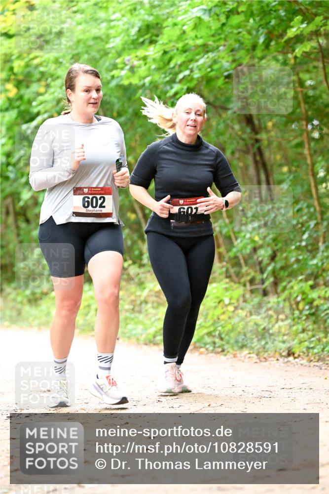 11.10.2026 - Bramfelder Halbmarathon 2026 Dr. Thomas Lammeyer http://msf.ph/oto/10828591 11.10.2026 11:07:33 Laufen 35, 602, 601 meine-sportfotos.de