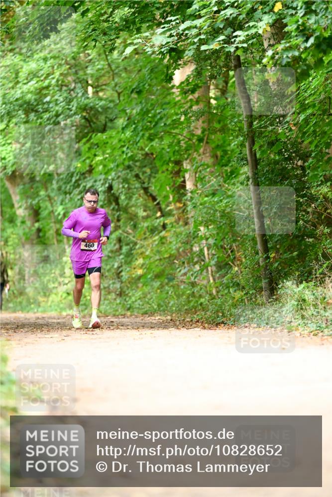 11.10.2026 - Bramfelder Halbmarathon 2026 Dr. Thomas Lammeyer http://msf.ph/oto/10828652 11.10.2026 11:07:55 Laufen 460 meine-sportfotos.de