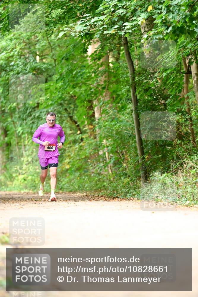 11.10.2026 - Bramfelder Halbmarathon 2026 Dr. Thomas Lammeyer http://msf.ph/oto/10828661 11.10.2026 11:07:56 Laufen 460 meine-sportfotos.de