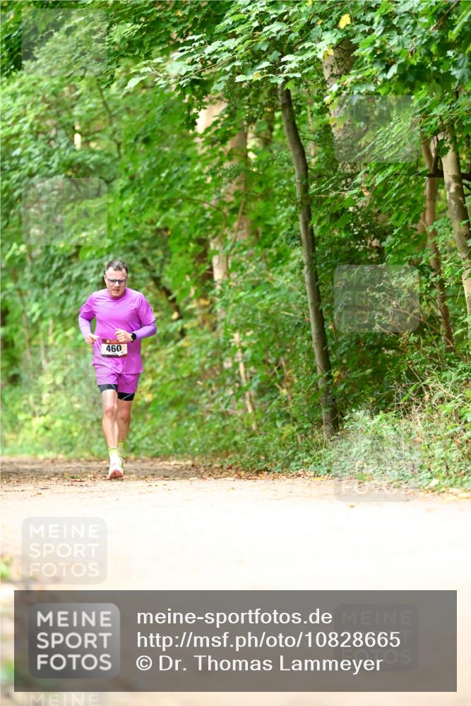 11.10.2026 - Bramfelder Halbmarathon 2026 Dr. Thomas Lammeyer http://msf.ph/oto/10828665 11.10.2026 11:07:56 Laufen 460 meine-sportfotos.de