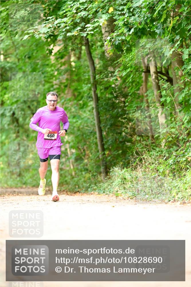 11.10.2026 - Bramfelder Halbmarathon 2026 Dr. Thomas Lammeyer http://msf.ph/oto/10828690 11.10.2026 11:07:58 Laufen 460 meine-sportfotos.de