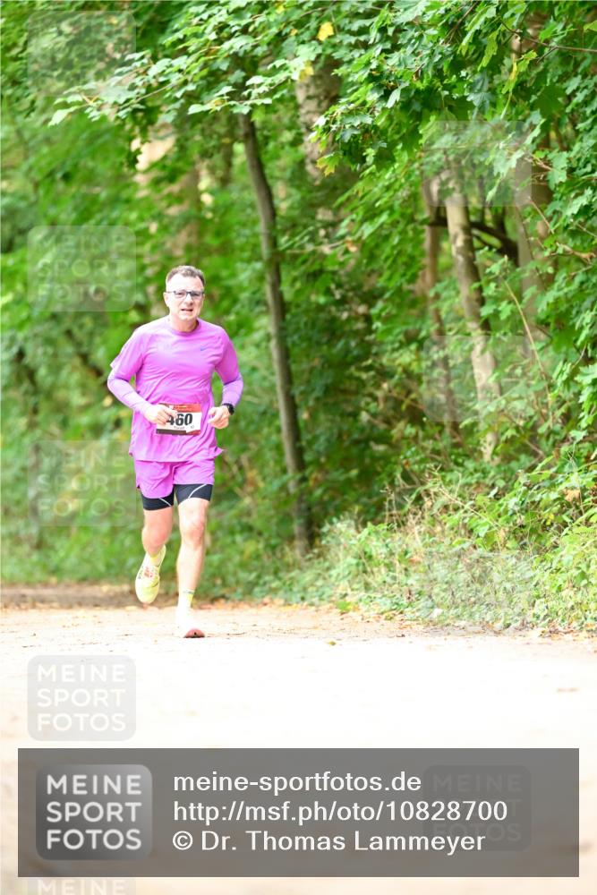 11.10.2026 - Bramfelder Halbmarathon 2026 Dr. Thomas Lammeyer http://msf.ph/oto/10828700 11.10.2026 11:07:58 Laufen 460 meine-sportfotos.de