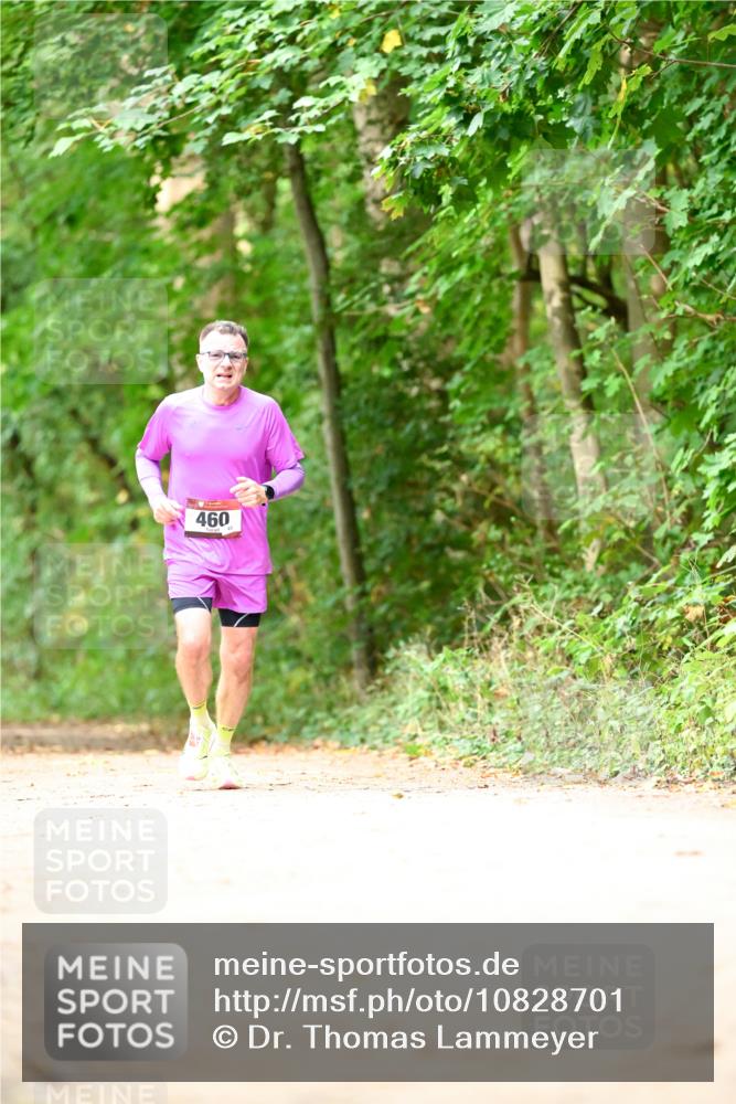 11.10.2026 - Bramfelder Halbmarathon 2026 Dr. Thomas Lammeyer http://msf.ph/oto/10828701 11.10.2026 11:07:58 Laufen 460 meine-sportfotos.de
