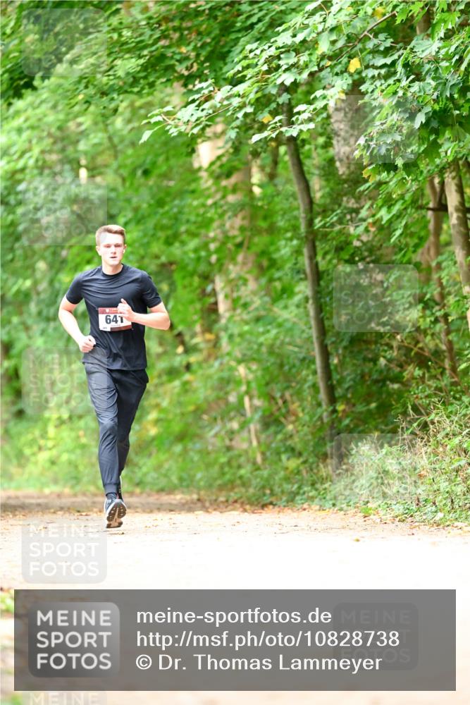 11.10.2026 - Bramfelder Halbmarathon 2026 Dr. Thomas Lammeyer http://msf.ph/oto/10828738 11.10.2026 11:08:04 Laufen 641 meine-sportfotos.de