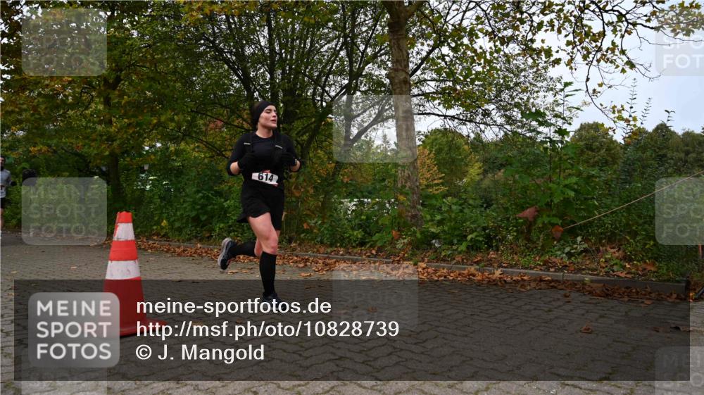 11.10.2026 - Bramfelder Halbmarathon 2026 J. Mangold http://msf.ph/oto/10828739 11.10.2026 10:58:15 Laufen 191, 455, 614 meine-sportfotos.de