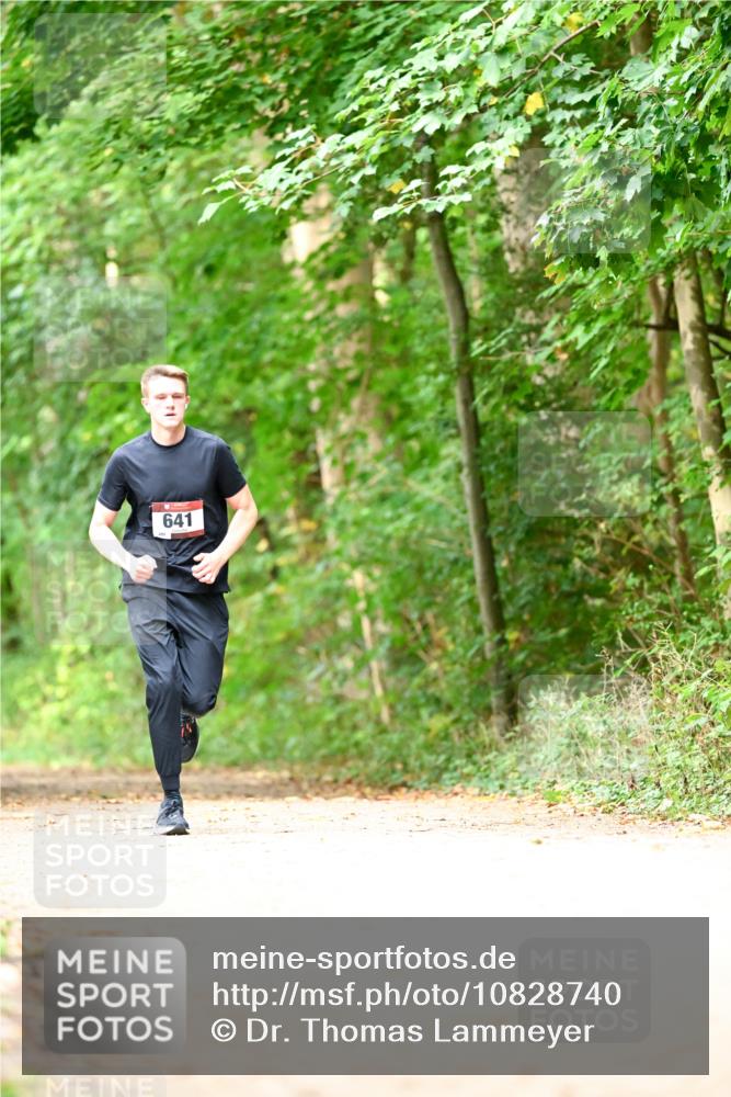 11.10.2026 - Bramfelder Halbmarathon 2026 Dr. Thomas Lammeyer http://msf.ph/oto/10828740 11.10.2026 11:08:04 Laufen 641 meine-sportfotos.de