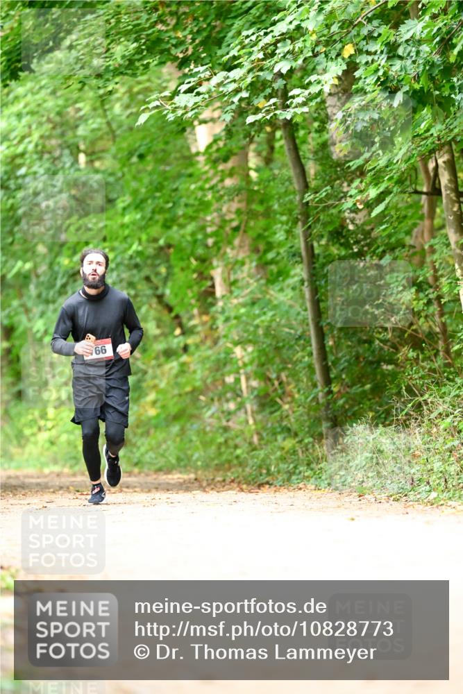 11.10.2026 - Bramfelder Halbmarathon 2026 Dr. Thomas Lammeyer http://msf.ph/oto/10828773 11.10.2026 11:08:09 Laufen 66 meine-sportfotos.de