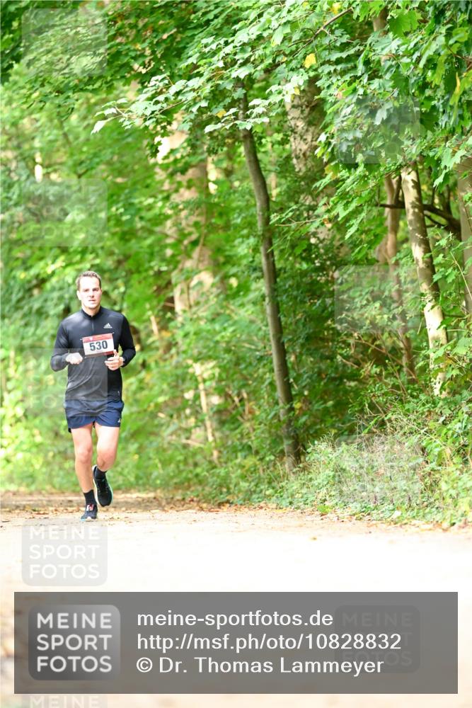 11.10.2026 - Bramfelder Halbmarathon 2026 Dr. Thomas Lammeyer http://msf.ph/oto/10828832 11.10.2026 11:08:26 Laufen 530 meine-sportfotos.de