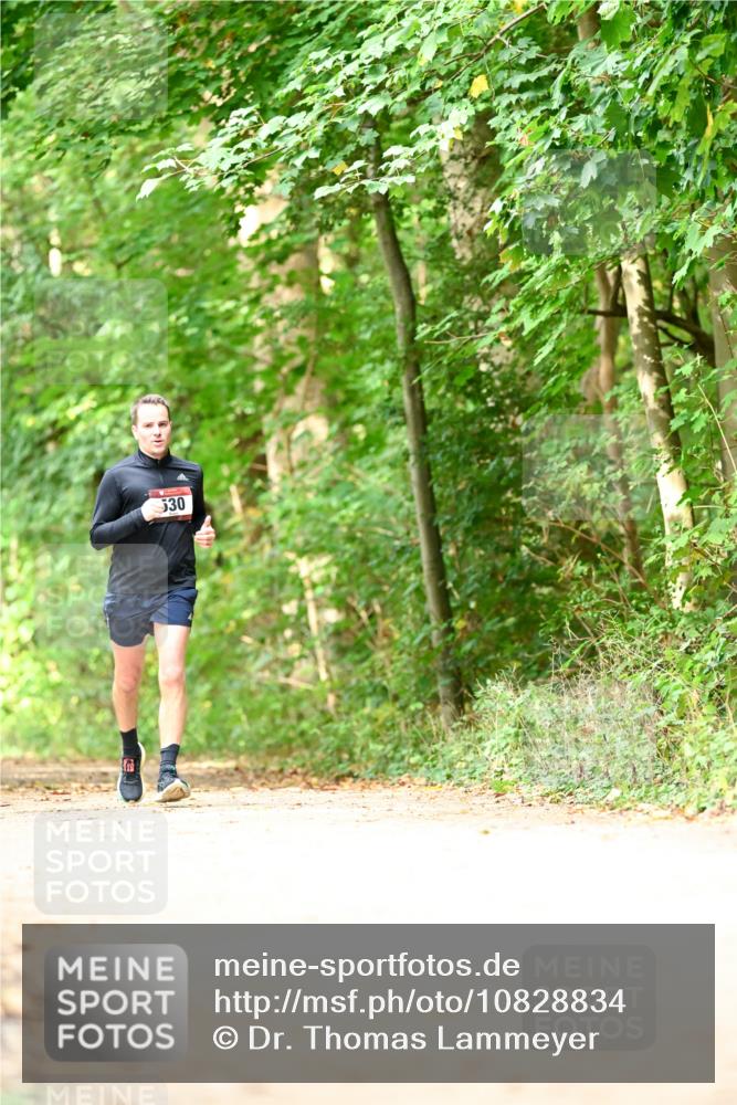 11.10.2026 - Bramfelder Halbmarathon 2026 Dr. Thomas Lammeyer http://msf.ph/oto/10828834 11.10.2026 11:08:26 Laufen 530 meine-sportfotos.de