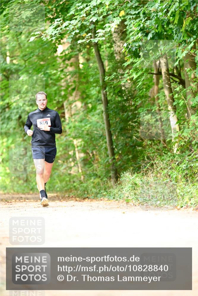 11.10.2026 - Bramfelder Halbmarathon 2026 Dr. Thomas Lammeyer http://msf.ph/oto/10828840 11.10.2026 11:08:26 Laufen 530 meine-sportfotos.de