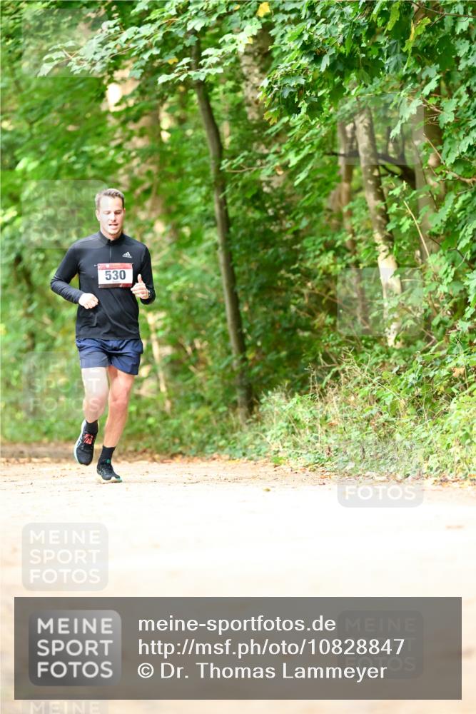 11.10.2026 - Bramfelder Halbmarathon 2026 Dr. Thomas Lammeyer http://msf.ph/oto/10828847 11.10.2026 11:08:27 Laufen 530 meine-sportfotos.de