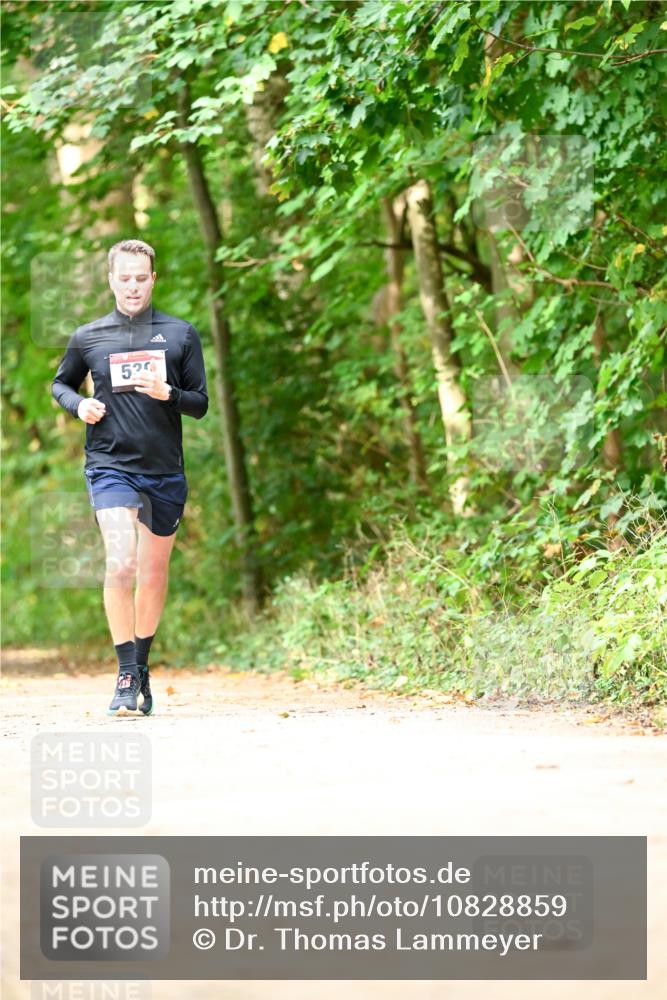 11.10.2026 - Bramfelder Halbmarathon 2026 Dr. Thomas Lammeyer http://msf.ph/oto/10828859 11.10.2026 11:08:27 Laufen 52 meine-sportfotos.de