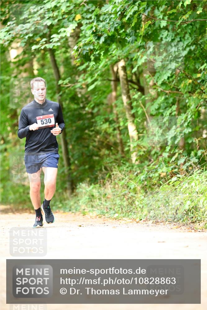 11.10.2026 - Bramfelder Halbmarathon 2026 Dr. Thomas Lammeyer http://msf.ph/oto/10828863 11.10.2026 11:08:28 Laufen 530 meine-sportfotos.de