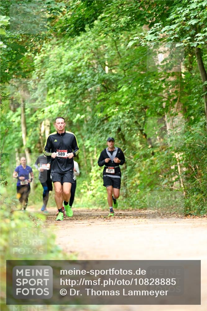 11.10.2026 - Bramfelder Halbmarathon 2026 Dr. Thomas Lammeyer http://msf.ph/oto/10828885 11.10.2026 11:08:31 Laufen 157, 589, 551 meine-sportfotos.de